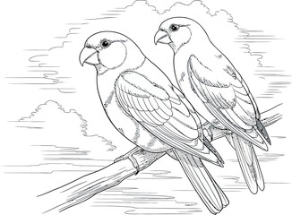love bird isolated coloring page for kids and adult vector art line art illustration