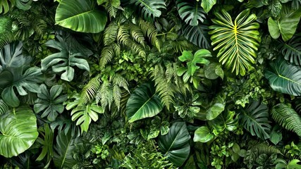 A lush green wall of ferns and tropical plants, creating a serene and natural atmosphere