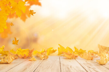 Autumn empty wooden table with falling yellow maple leaves on defocused autumn forest nature...