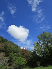 青空に浮かぶハート型の雲