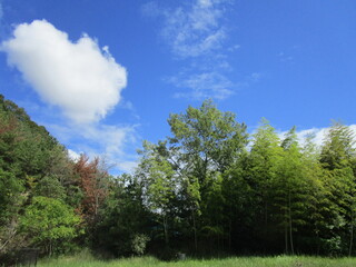 青空に浮かぶハート型の雲