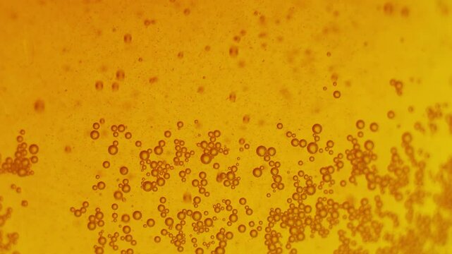 Pouring beer into a glass. Close-up of beer bubbles.
