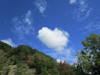 青空に浮かぶハート型の雲