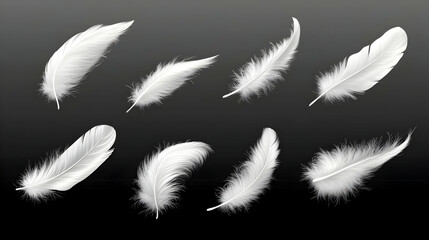 Obraz premium Set of realistic white feathers falling on black background