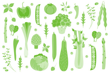 A set of fresh green vegetables and herbs. Broccoli, cucumber, celery, spinach, paprika, zucchini, artichoke, peas, kale, rucola, tomato, asparagus. The concept of healthy living and proper nutrition.