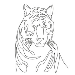One continuous single drawing line art flat doodle tiger, animal, mammal, carnivore, wildlife, portrait, nature, big cat, striped, danger. Isolated image hand draw contour on a white background