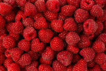 Tasty fresh raspberry as a background.