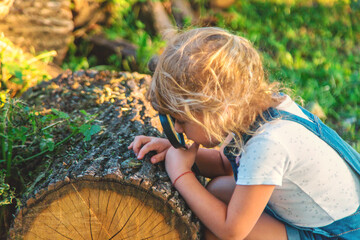 A child looks through a magnifying glass in nature. Selective focus.