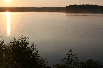 Sunset on a forest lake