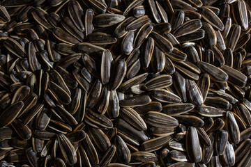 Non Salty Roasted Sunflower Seeds in Shell: A Culinary Canvas of Sunflower Kernels, Creating a Lively and Textured Background for Gourmet Cooking. Scattered Sun Flower Seeds - Top View, Flat Lay