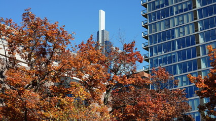The beautiful Philadelphia city view in autumn