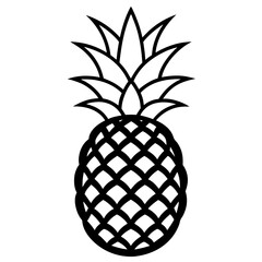 pineapple illustration