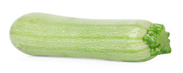 One fresh ripe zucchini isolated on white
