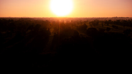Amazing sunset and sunrise.Panorama silhouette tree in africa with sunset. Dark tree on open field dramatic sunrise.Safari theme.Giraffes , Lion , Rhino