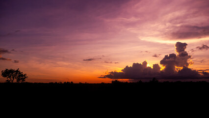 Amazing sunset and sunrise.Panorama silhouette tree in africa with sunset. Dark tree on open field dramatic sunrise.Safari theme.Giraffes , Lion , Rhino
