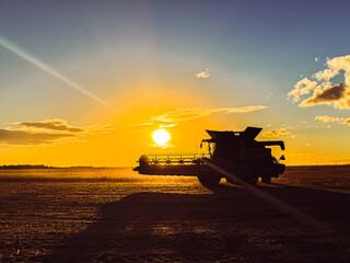 Sunset over a rural North Dakota soybean field with a combine harvester silhouetted against the...