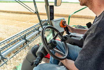 Farmer inside a combine harvesting Spring wheat in agriculture farm land field, view from inside combine harvester