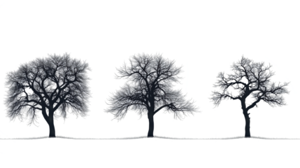 Stylized Illustration of Trees Showing Seasonal Changes isolated on transparent background	
