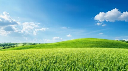 A serene landscape featuring rolling green hills under a bright blue sky with fluffy clouds.