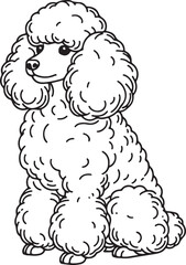 hand-drawn line art illustration of a Toy Poodle in a side view