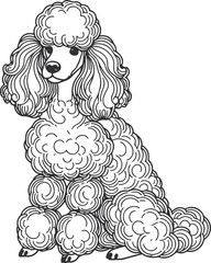 hand-drawn line art illustration of a Toy Poodle in a side view