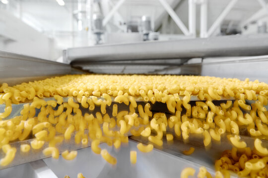Industrial pasta production conveyor belt, Pasta factory concept.Technological production factory industrial work, raw macaroni close-up
