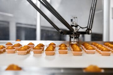 Cupcake production on a container line. Confectionery shop
