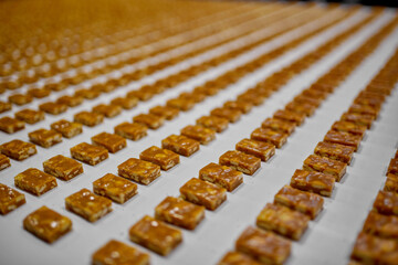 Fototapeta premium Candy production at a candy factory. Sweets on the conveyor belt. Industrial production, factory