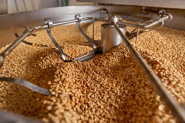 Processing and roasting of peanuts on an industrial scale. Industrial food production.