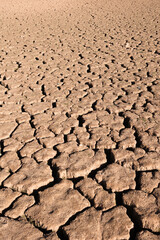 Cracks in the earth from a drought-ridden swamp