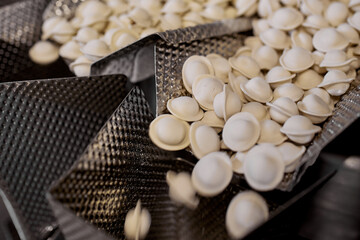 A production workshop for the production of dumplings. Dumplings are in the line