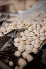 A production workshop for the production of dumplings. Dumplings are in the line