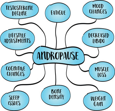 andropause, male menopause, phase in men&rsquo;s lives where testosterone levels gradually decline, mind map infographics sketch