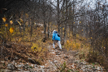 A solitary individual dressed in a bright blue jacket is leisurely walking along a winding path...