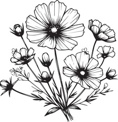 Vector floral background with cosmos flowers, detailed flower coloring pages printable, cosmos flower line art, creative flower drawings, cosmos flower doodle tattoo for arms