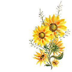 Handdrawn watercolor bunch of sunflowers  isolated on white background.