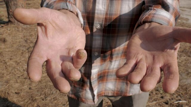 The old master shows his working hands, callused and roughened from long hours of work as a carpenter.