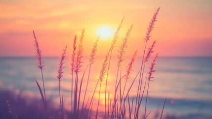 Silhouettes of grass stalks against a vibrant sunset over a calm ocean.