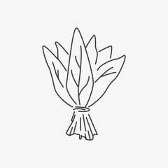 Hand drawn bunch of sorrel, sketch. Herb, culinary plant, ingredient for meal. Vector	
