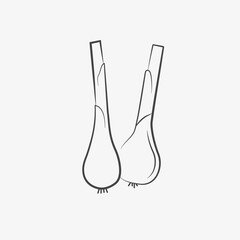 Hand drawn onion, sketch. Herb, spice, ingredient for meal. Vector	
