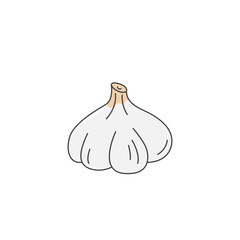 Garlic bulb illustration. Herb, culinary spice, ingredient for meal. Vector