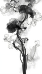 Realistic dark black smoke isolated on transparent white background isolated with white highlights, png