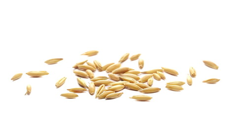 Pile unpeeled oat grains isolated on white, side view