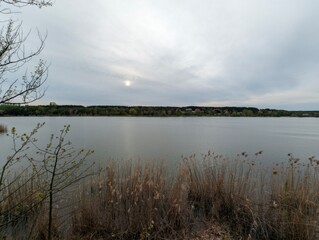 Blossoms in the Botanical Garden