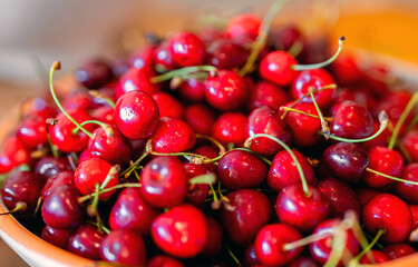 Pile of ripe red cherries with stalks.