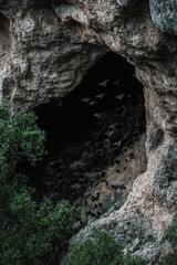 Birds flying over cave