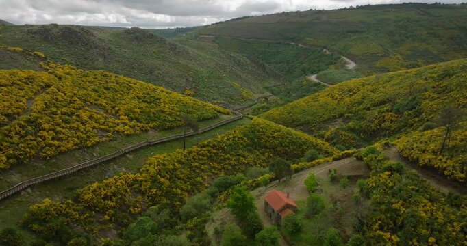 Aerial View of Blooming Hills and Passadi&ccedil;os do Mondego Trails, Portugal | Nature in 4K