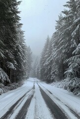 Obraz premium Snow covered road surrounded by tall evergreen trees in a winter landscape