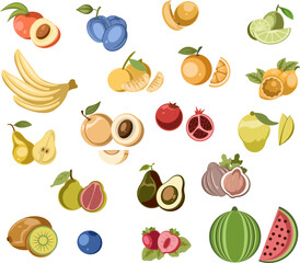 Colorful Fruit Set Variety Illustration