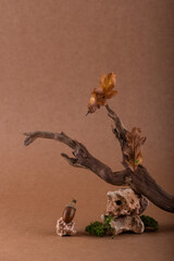 Autumn fall modern still life